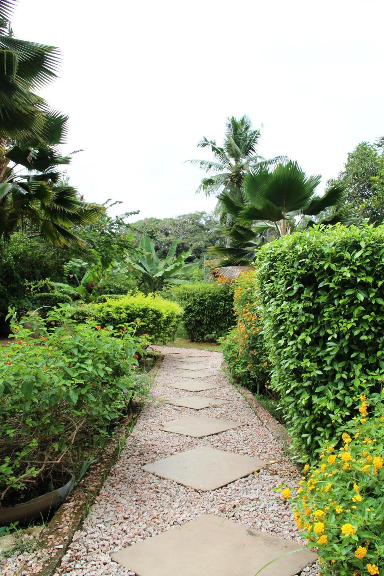 Belle Des Iles Bed & Breakfast La Digue Ruang foto