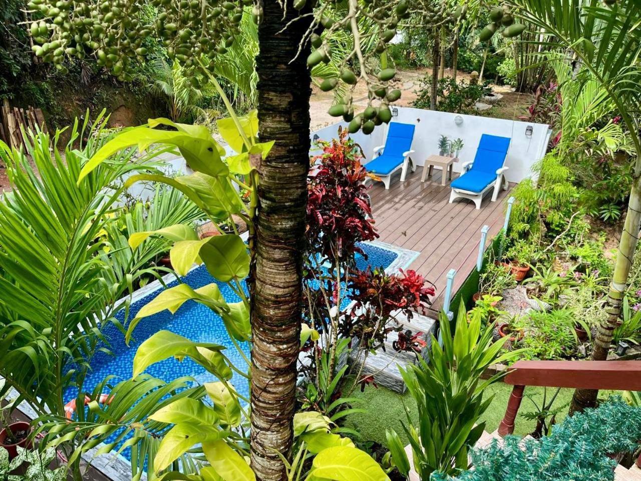 Belle Des Iles Bed & Breakfast La Digue Bagian luar foto