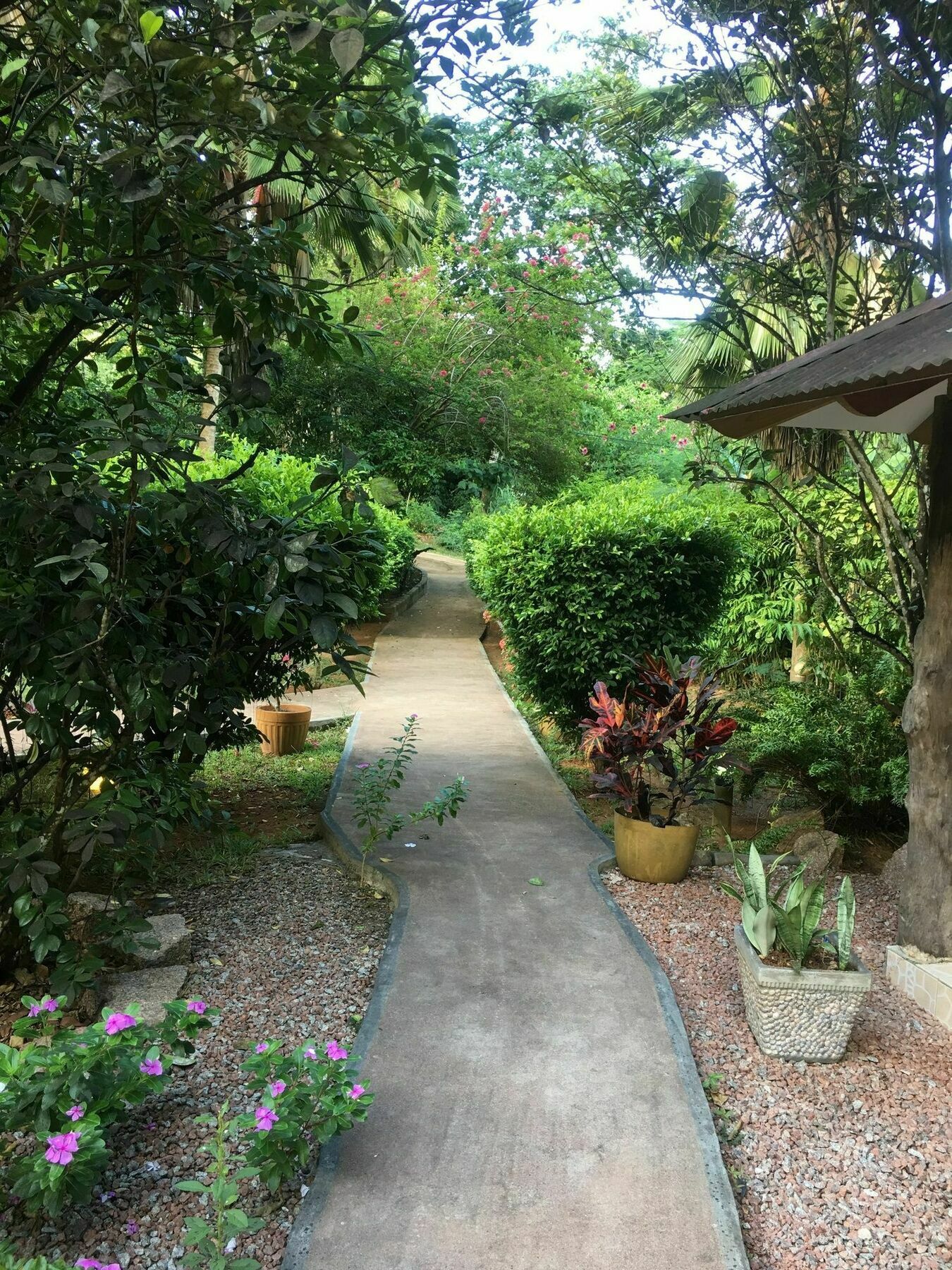 Belle Des Iles Bed & Breakfast La Digue Bagian luar foto